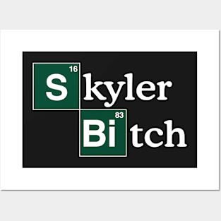 Skyler Bi··· Posters and Art